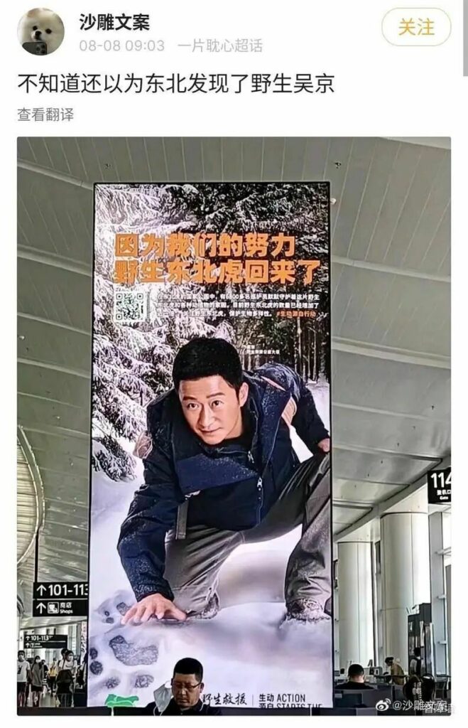 【每日图一乐】浏览量太低就会让人失去干活的动力 — 第 12 张