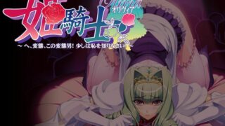 【CG】[Silkys]合集【度盘2G】