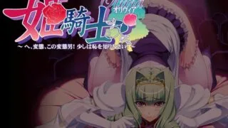 【CG】[Silkys]合集【度盘2G】