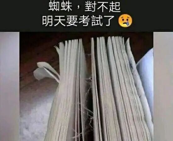 【每日图一乐】浏览量太低就会让人失去干活的动力 — 第 44 张