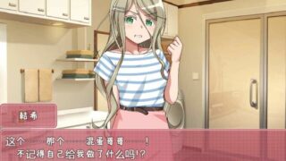【SLG/PC/安卓/汉化】调教傲慢的巨乳妹妹 完整汉化版【度盘/1.3G】