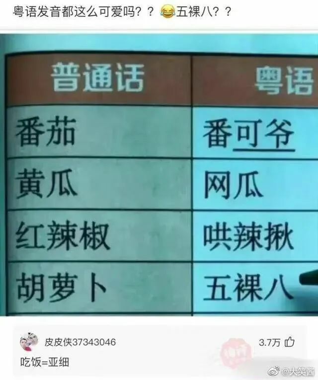 【每日图一乐】感觉不如…… — 第 95 张