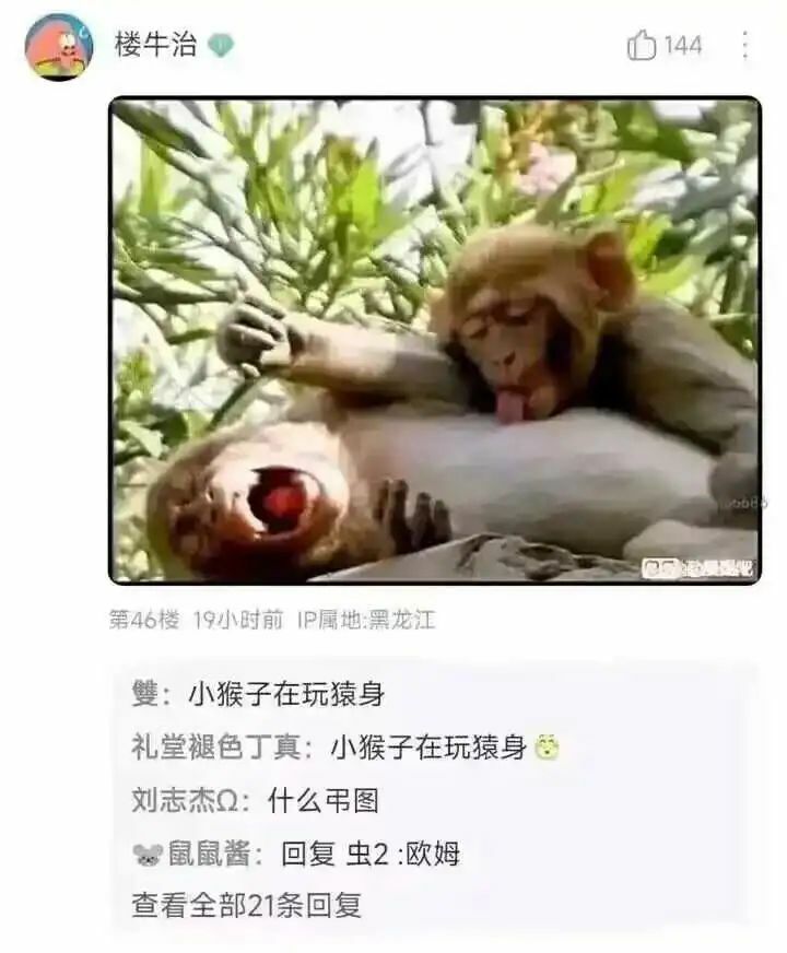 【每日图一乐】感觉不如…… — 第 102 张