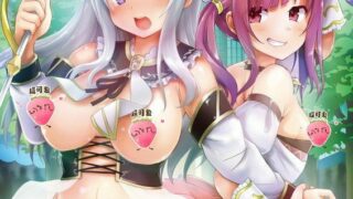 【極彩花夢字幕组】【魔人】露出系魔法女子大生クリスティア 第一話 変身魔法は公開露出！？ 魔法女子大生クリスティア爆誕！！【磁力】