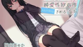 【ASMR汉化】毒舌後輩に純愛性欲処理される音声【RJ235149】【度盘】【mp3】