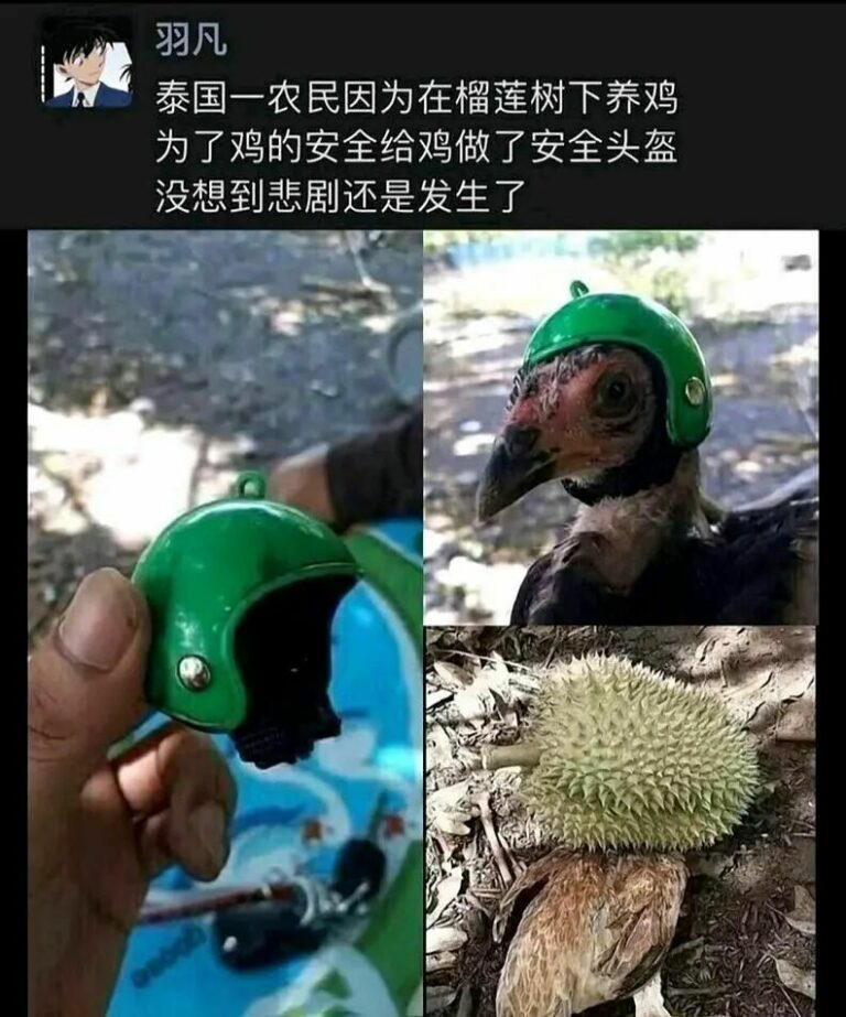 【每日图一乐】浏览量太低就会让人失去干活的动力 — 第 6 张