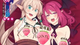 【里番/熟肉】2022年12月合集【附前作】【磁力】