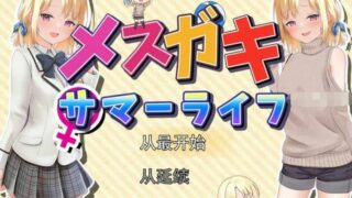 【RPG】和妹妹一起度过甜蜜暑假：メスガキサマーライフ~云翻汉化版[PC+2.2G]