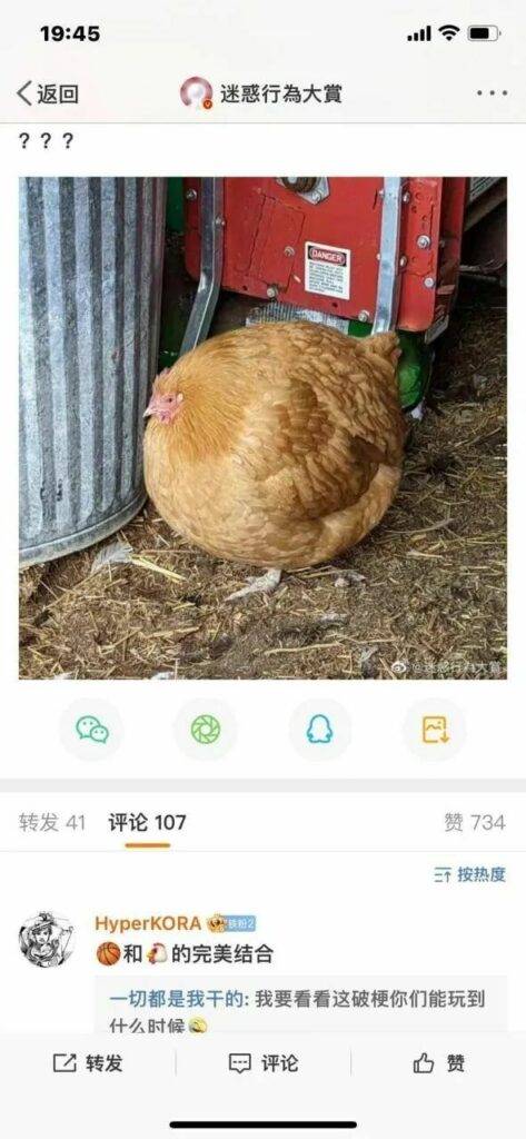 【每日图一乐】感觉不如…… — 第 16 张