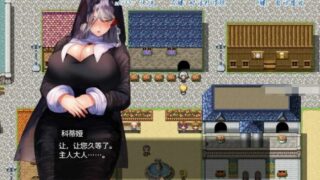【RPG】圣骑士大人与魅魔从者Ver1.01~官方中文步兵版【度盘/1.1G】