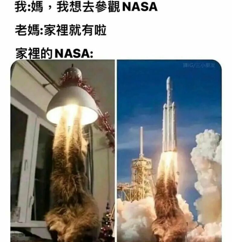【每日图一乐】感觉不如…… — 第 110 张