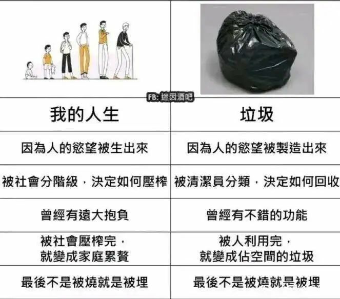 【每日图一乐】感觉不如…… — 第 103 张