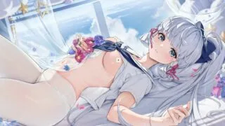 【画师CG集/无修正】ほうき星大佬十二月新作【45P/338M】