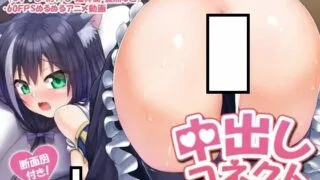 【2D动画/断面図】【RJ01005591】中出しコネクト【MP4/3.72GB】