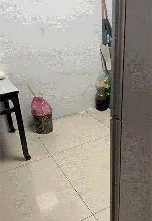 【每日图一乐】感觉不如…… — 第 12 张