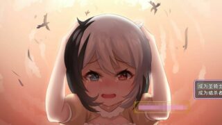 【爆款RPG/中文】光与影的二重身 Ver1.10UC 官方中文步兵版【更新/多线路结局/CV/2G/名堂】