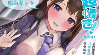 【官方简中】超耳语!~与色情清纯JK二条由乃在电车中~【立体声录音】【RJRJ01020673】【秒传/7.5g】