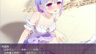 【RPG/PC/安卓】祈祷游戏 PrayGame：Append+LastStory 最终汉化版+存档【3G/度盘】