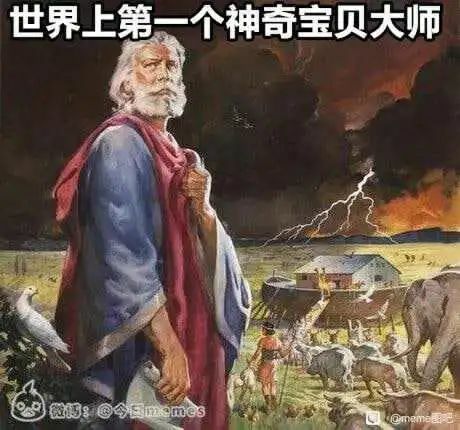 【每日图一乐】浏览量太低就会让人失去干活的动力 — 第 73 张