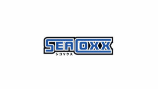 【GAL／SEACOXX／合集】游戏品牌（SEACOXX）汉化合集【秒传／3.68GB】