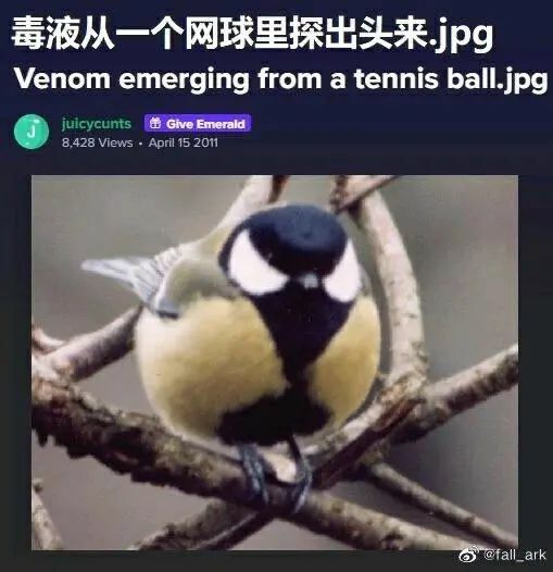 【每日图一乐】浏览量太低就会让人失去干活的动力 — 第 65 张