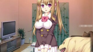 【RPG】犬中毒 NDNL3~NoDogNoLife DL正式版+全CV【度盘/660M】