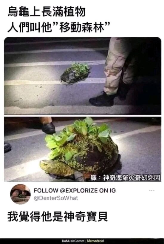 【每日图一乐】感觉不如…… — 第 79 张