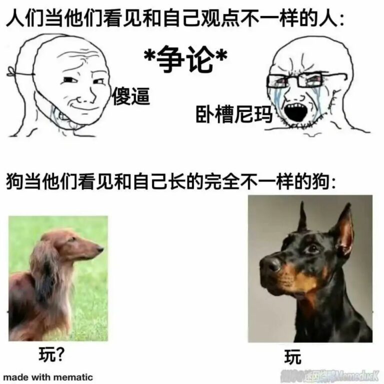 【每日图一乐】浏览量太低就会让人失去干活的动力 — 第 43 张