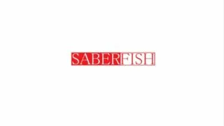 【游戏合集】セイバーフィッシュ（剑鱼社）游戏合集（妙传15G）