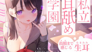 【ASMR汉化】【生耳舐め】私立耳舐め学園・・・お耳とろとろにしちゃうね・・・♪【鼓膜まで感じる】【RJ308407】【秒传】【度盘】【MP3】