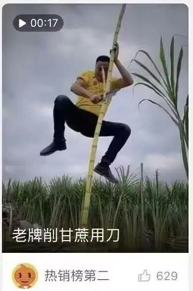 【每日图一乐】上一次是什么时候，想不起来了 — 第 71 张