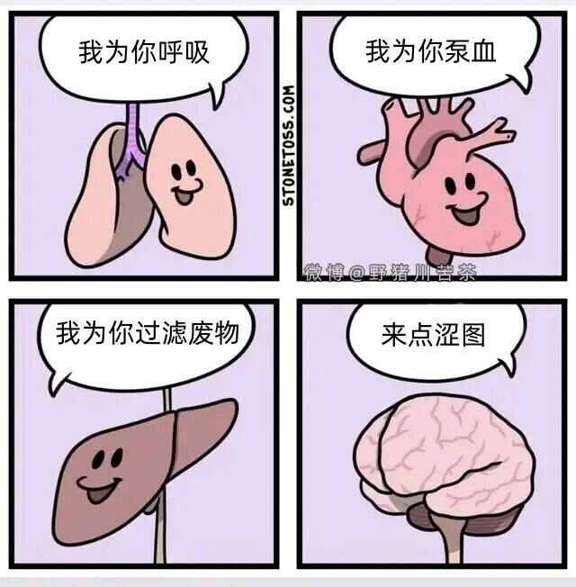 【每日图一乐】上一次是什么时候，想不起来了 — 第 87 张