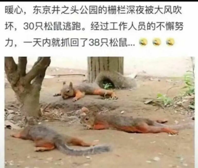 【每日图一乐】上一次是什么时候，想不起来了 — 第 106 张