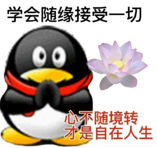 【每日图一乐】上一次是什么时候，想不起来了 — 第 66 张