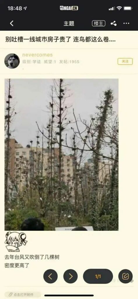 【每日图一乐】上一次是什么时候，想不起来了 — 第 42 张