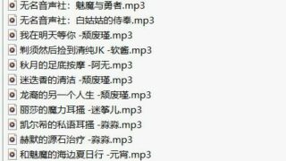 【中文音声】无名音声社【度盘】【3G】