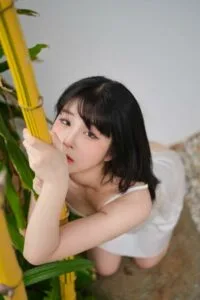 【写真】Artgravia VOL454 JangJoo【93P/300M/度盘】