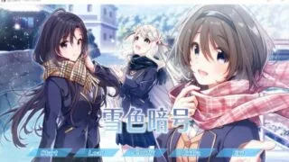 【GAL】[Wonder Fool] 雪色暗号【秒传/OD】