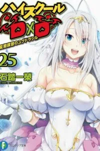 【轻小说】恶魔高校DxD（25卷）