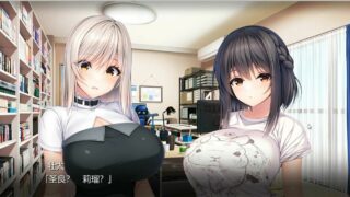 【游戏录屏】COS姐妹游戏录制动漫非动态【度盘5.16G】