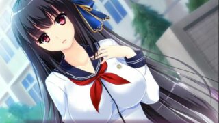 【游戏录屏】催眠会长游戏录制动漫【度盘云盘762MB】