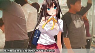 【游戏录屏】眉目传情游戏录屏动画非动态【度盘717.mb】