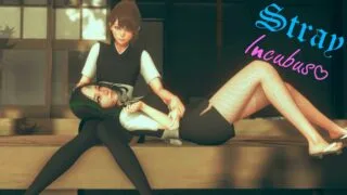 【SLG/PC/安卓】流浪梦魇 Stray Incubus V0.9b 汉化版【度盘/3.4G】