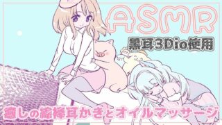 【限定_ASMR】【日南】不器用な彼女によるご奉仕感ある吐息たっぷり囁きと安眠耳舐め(鼓膜塞ぎ)_【KU100】