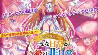 【RPG】公主幸福的日常与心灵创伤级的非日常 プリンセスの幸せな日常とトラウマ級の非日常【度盘/免币】