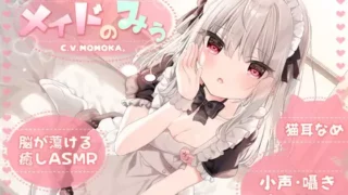 【ASMR汉化】【KU100】声が小さすぎる、メイドのみぅ【RJ330272】【度盘】【MP3】