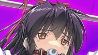 【PC/Joi】IF巫女 Ver3.08【度盘/202MB】