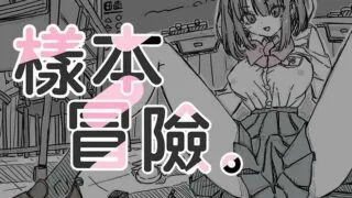 【boki官中】样本冒险 さんぷるあどべんちゃあ V2.1.1【PC/安卓 度盘】