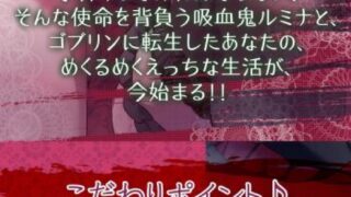 【同人声音】ゴブリン転生～魔王軍元四天王の吸血鬼っ娘と子作りセックスして魔族国を復興せよ～【原档】