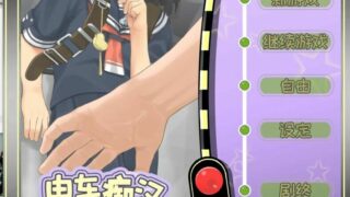 【SLG】电车痴汉Touch DL官方中文版+攻略要点【度盘/670M】